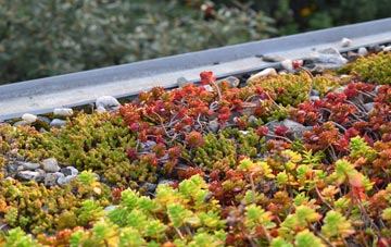 the cost of Stentwood green roof installation
