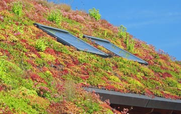 Stentwood living roof systems